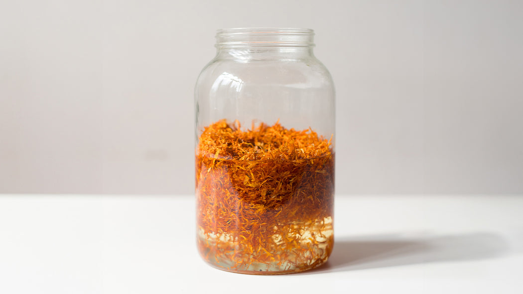 The Beauty & Benefits Of Herbal Infusions